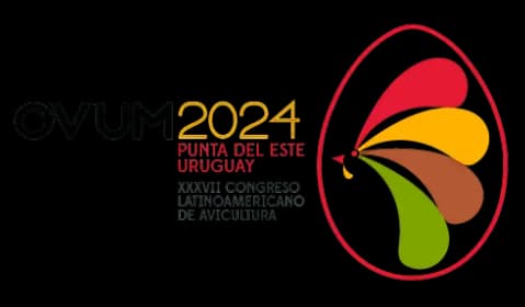 Ovum Punta del Este